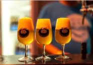 Helders Bier Festival 2025 vrijdag 12 en zaterdag 13 september