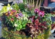 Workshop Winter Hanging Basket bij Bloeiers in Slootdorp