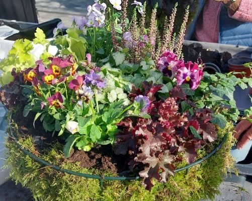 Workshop Winter Hanging Basket bij Bloeiers in Slootdorp