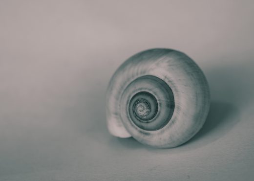 DIB