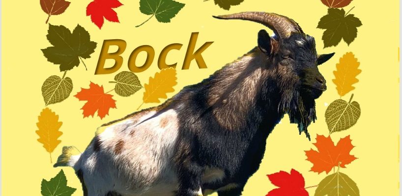Bierproeverij &#8211; Herfst Bock Rondje in De Dukdalf